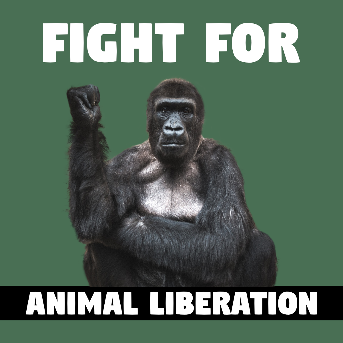 Gorilla hebt die Faust - Text: Fight for Animal Liberation