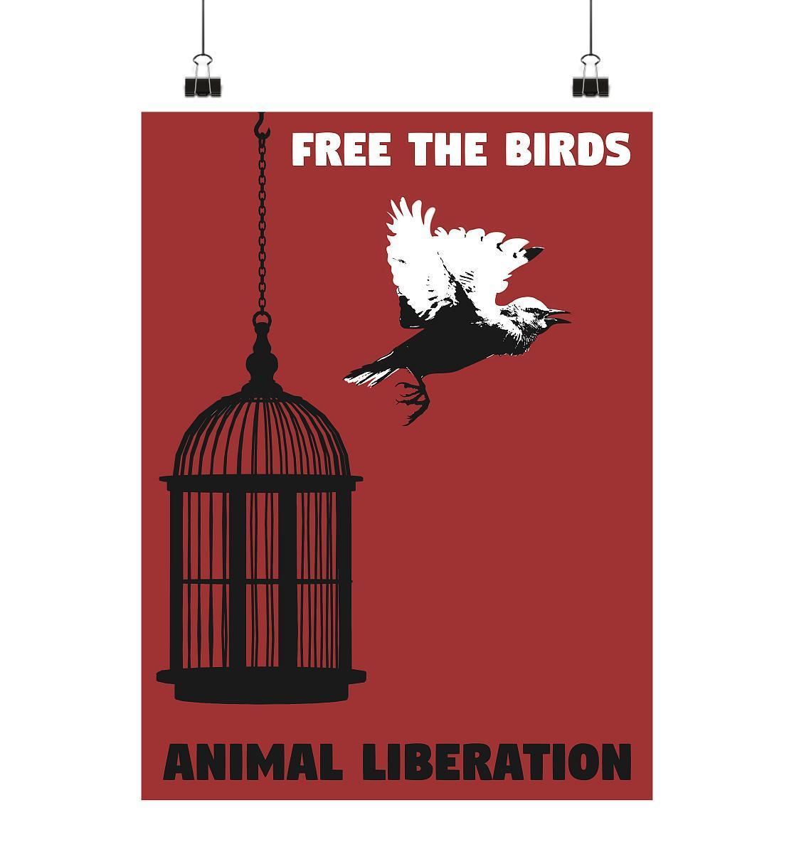 Vegan und Öko Poster Din A2:Free the birds - Animal Liberation zeigt einen Vogel, der aus einem Käfig fliegt, symbolisiert Freiheit und Tierrechte.