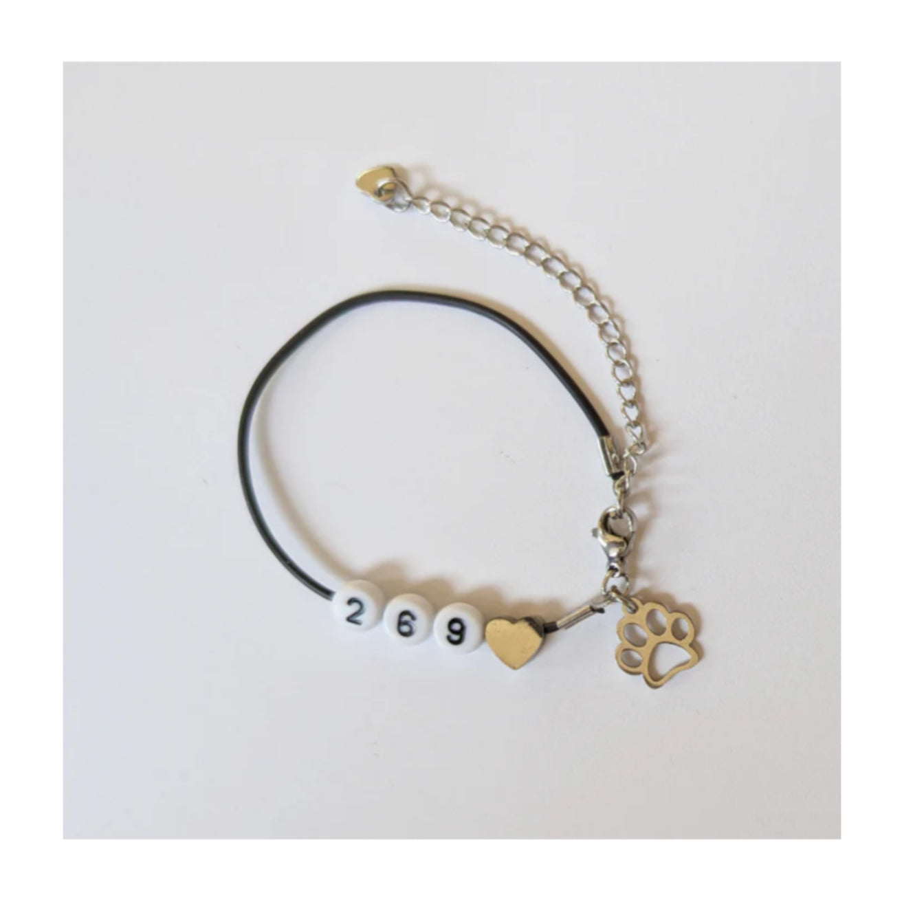 269 Veganismus Armband mit Pfoten charm und Kunstlederband