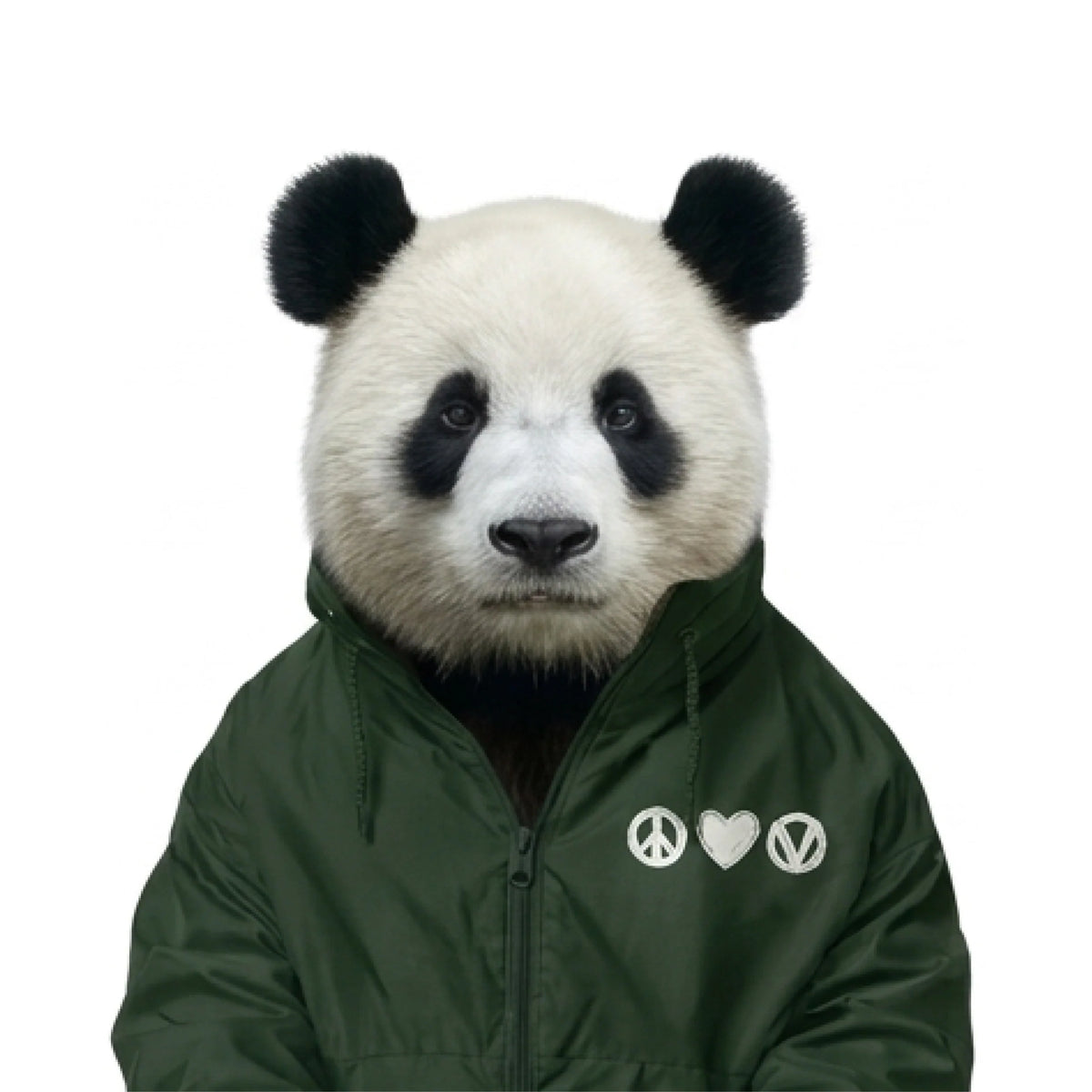Windbreaker