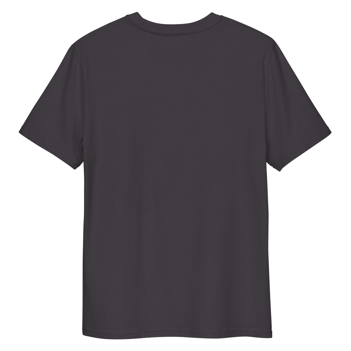 Unisex-T-Shirt in Anthrazit, einfarbig ohne sichtbaren Frontdruck