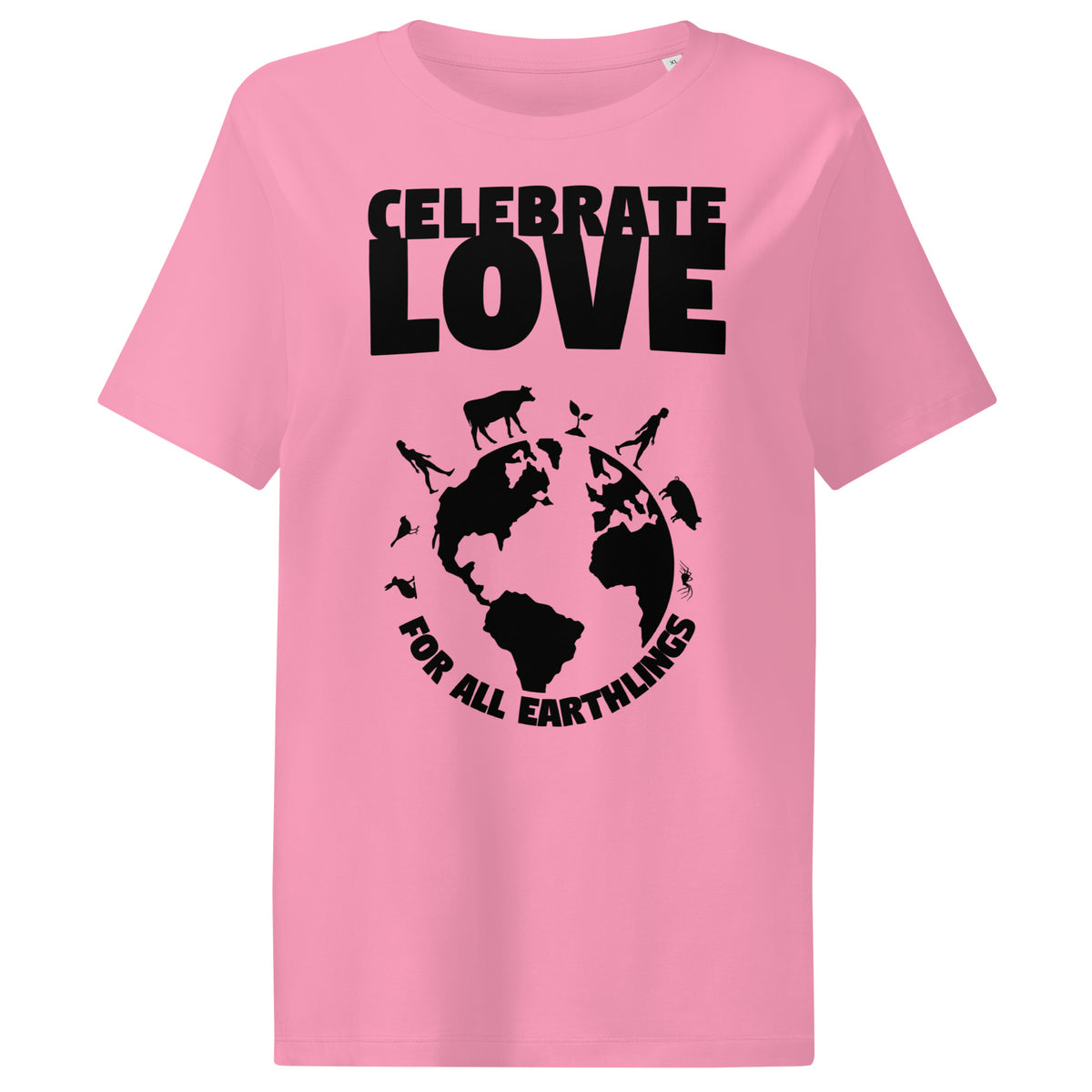 Damen-T-Shirt in Hellrosa mit „CELEBRATE LOVE“-Weltmotiv, Rundhalsausschnitt